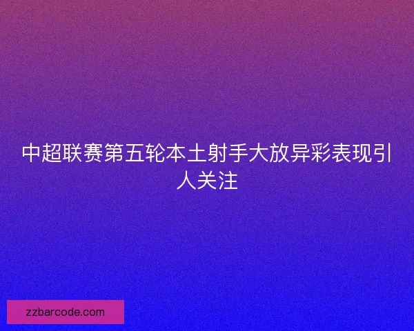 中超联赛第五轮本土射手大放异彩表现引人关注